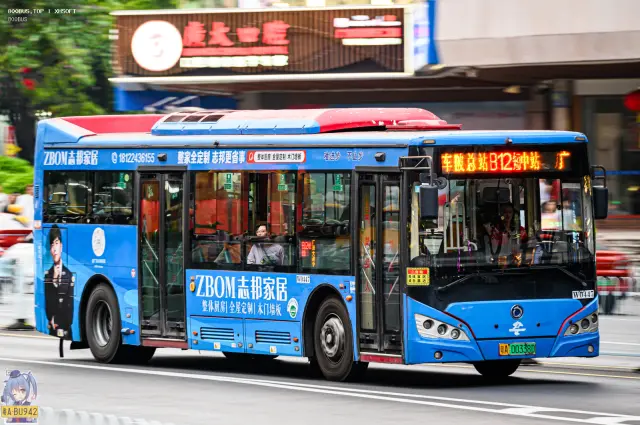 800BUS