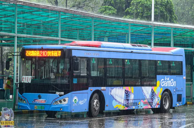 800BUS