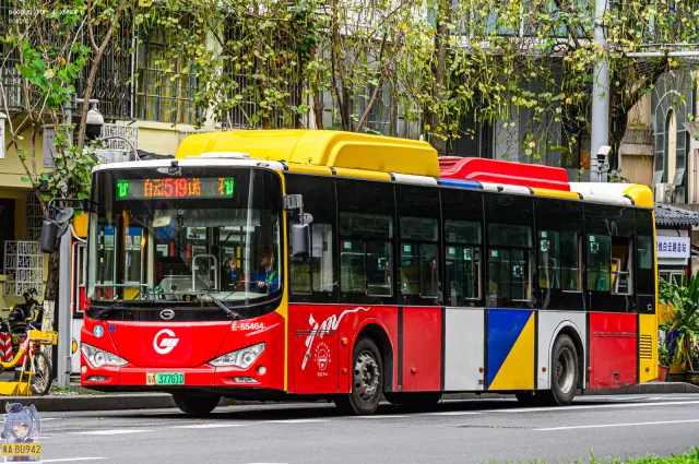 800BUS