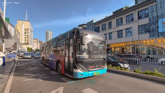 贵D·00550D