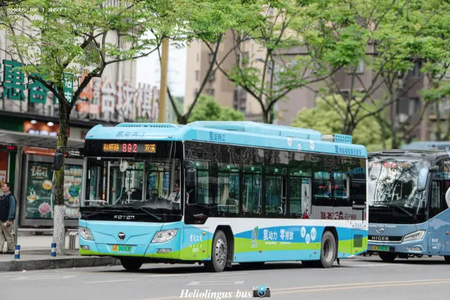 800BUS