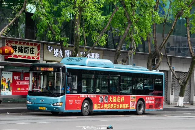 渝A 32903