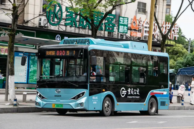 800BUS