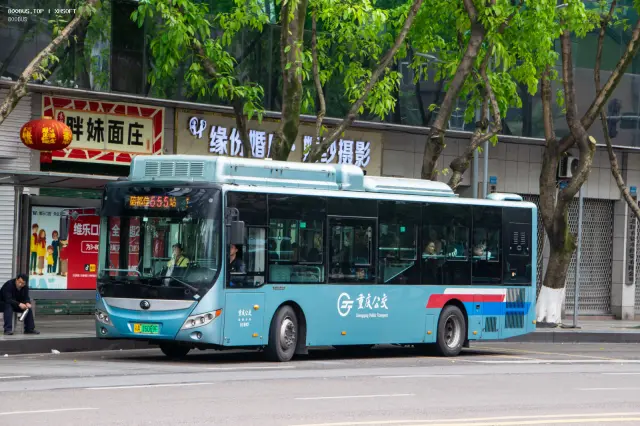 渝A 16069F