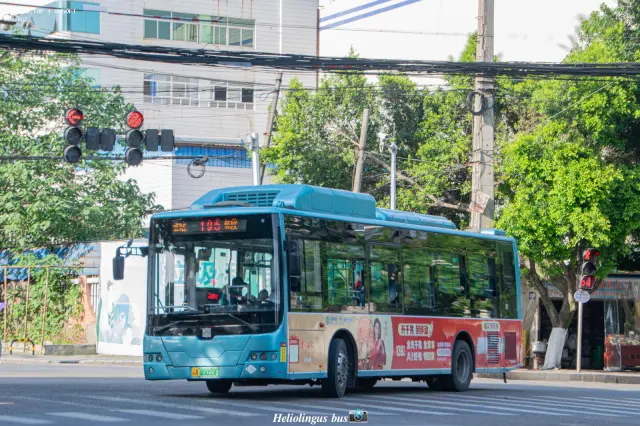 渝A 05055F