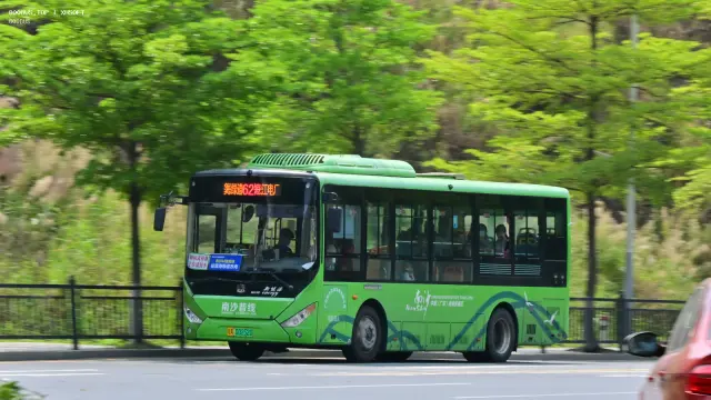 800BUS