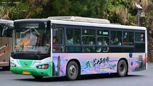 800BUS