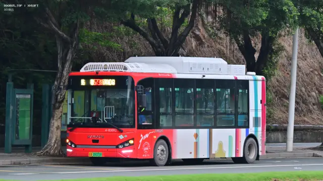 800BUS