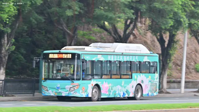 800BUS