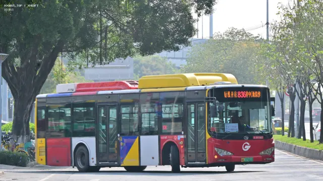 800BUS