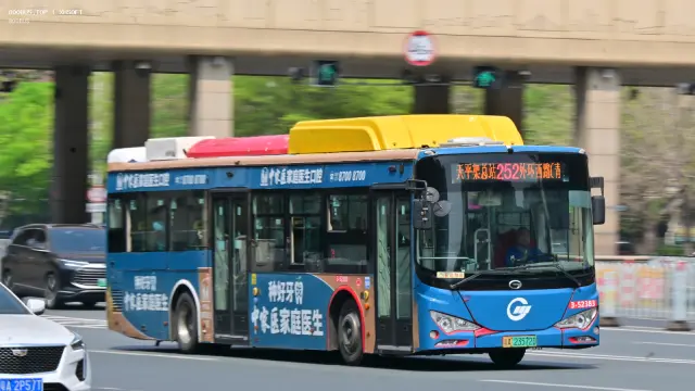 800BUS