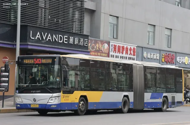 800BUS