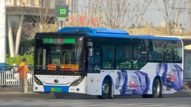 800BUS