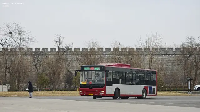 冀A 8542U