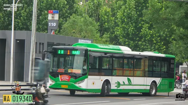 800BUS