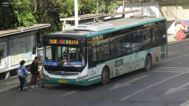 800BUS