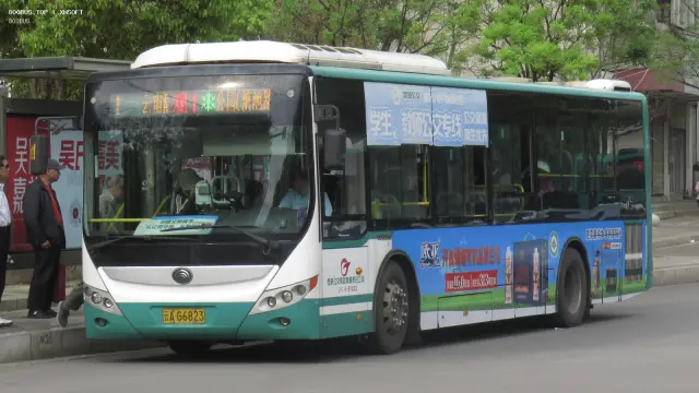 800BUS
