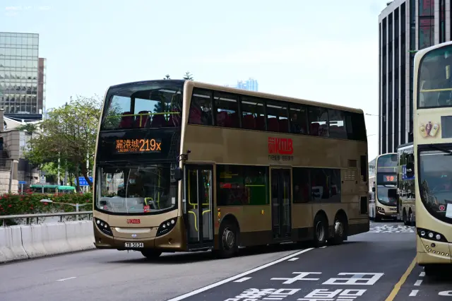 800BUS