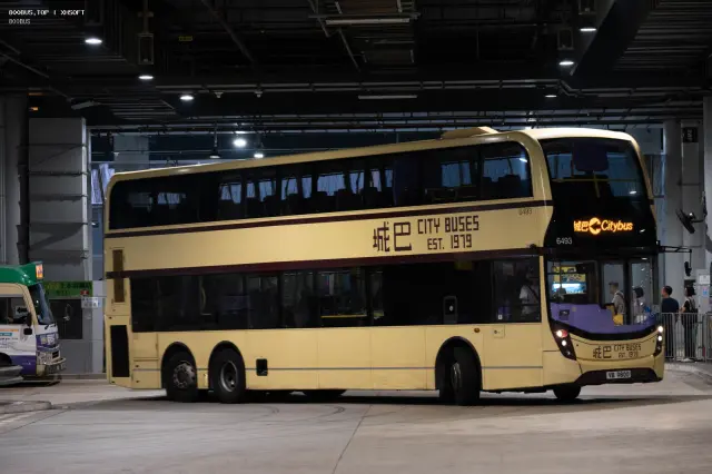 800BUS