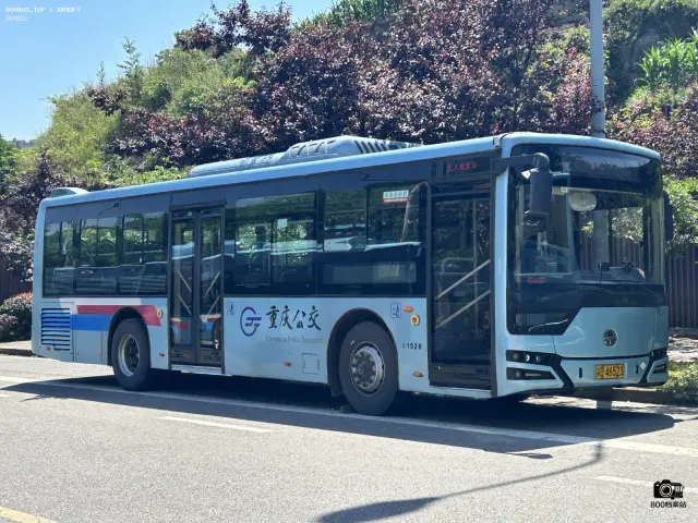 渝D 46523