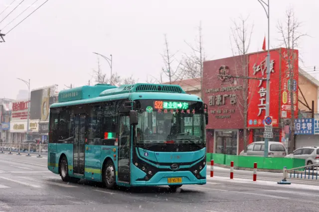 800BUS