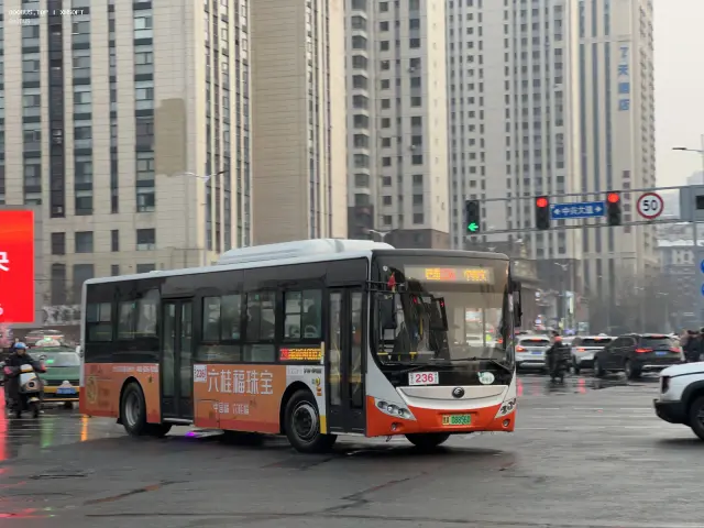 800BUS