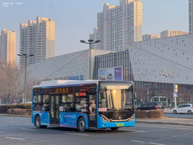 800BUS