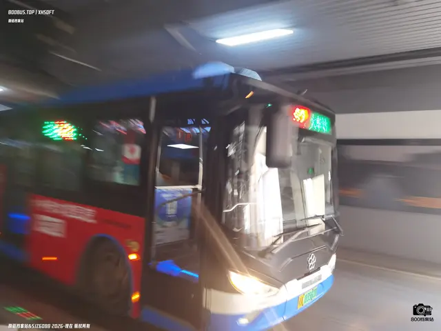 800BUS