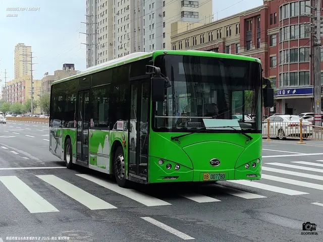 800BUS
