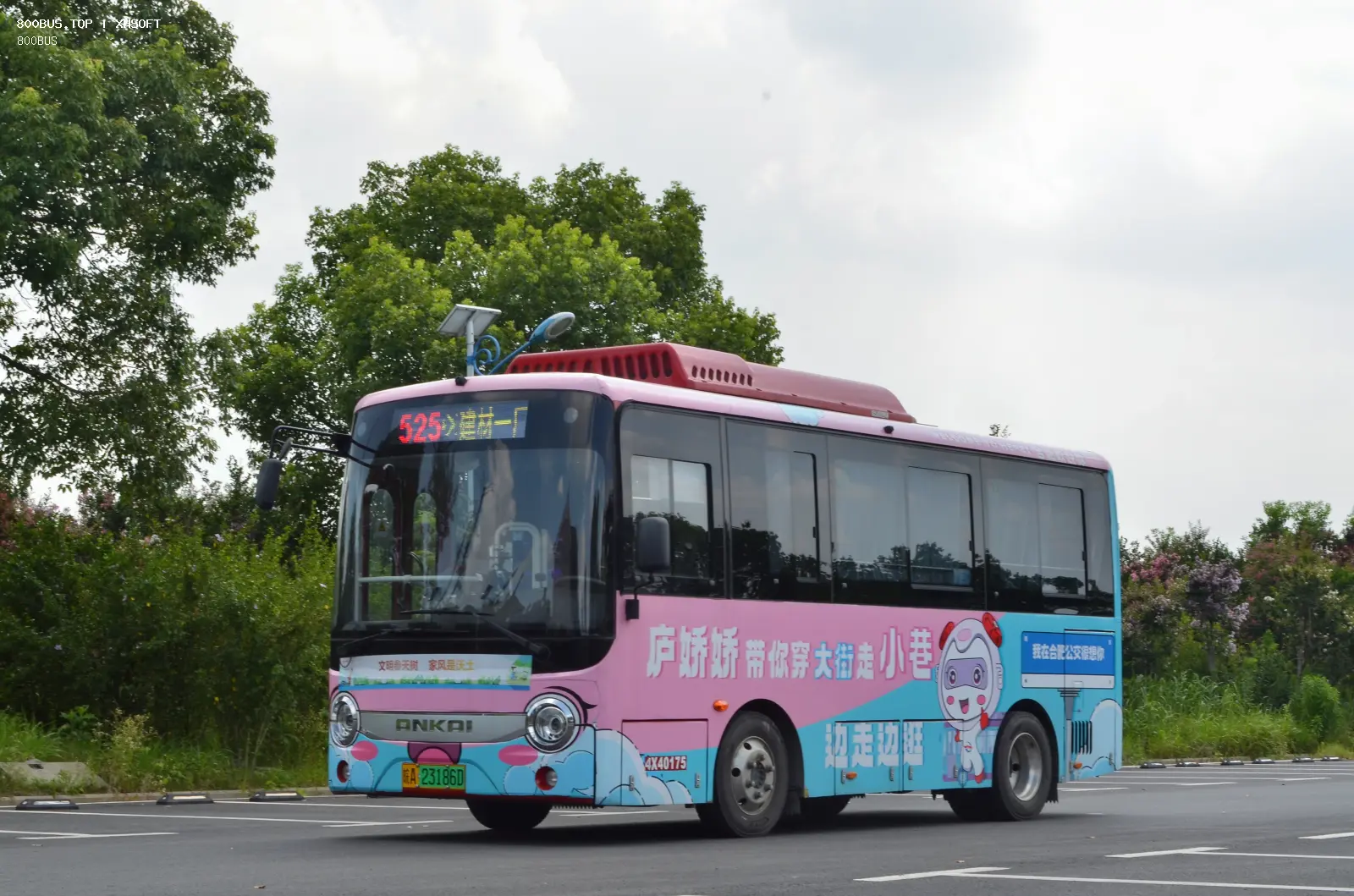 Bus Archive