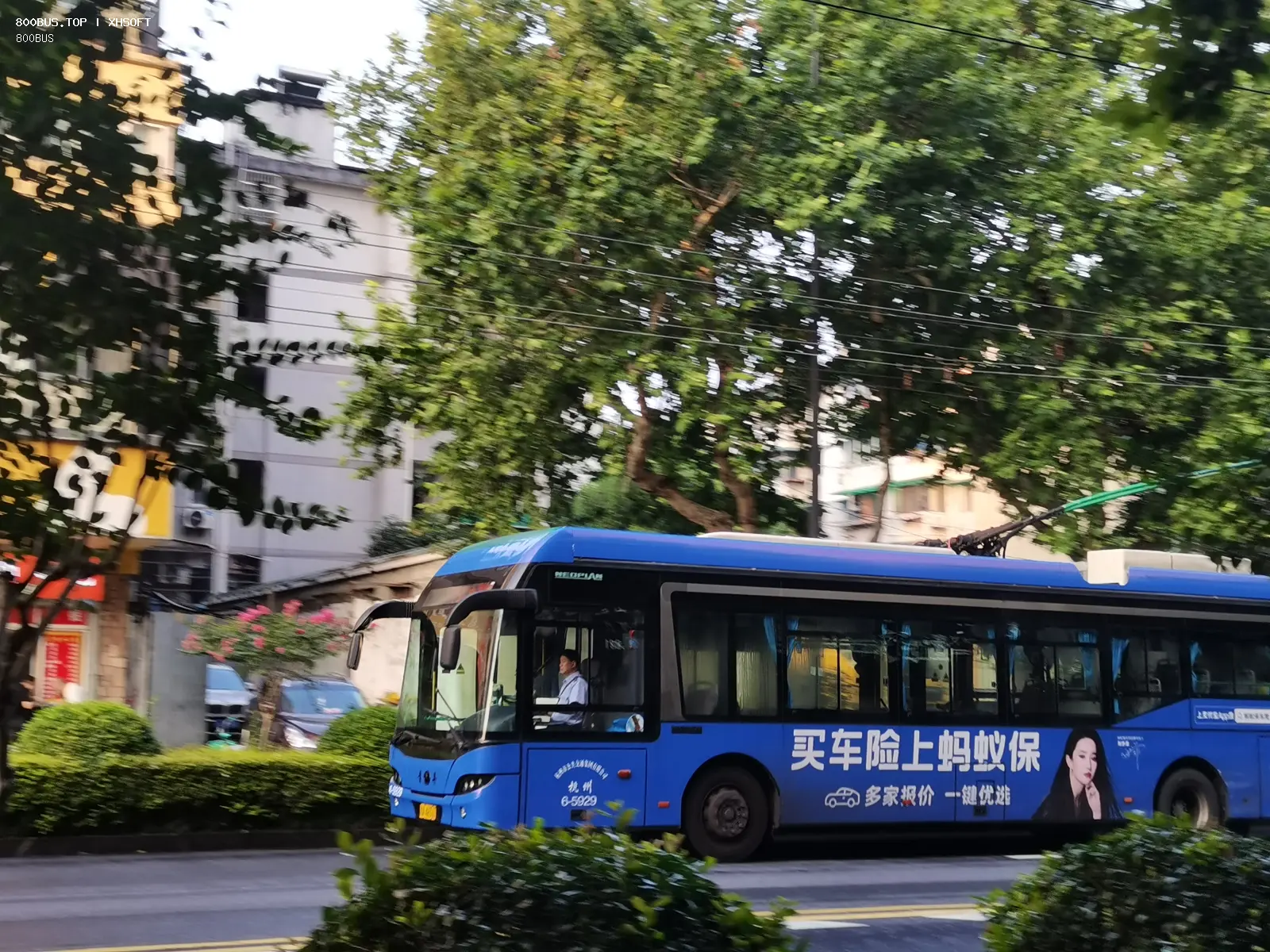 Bus Archive