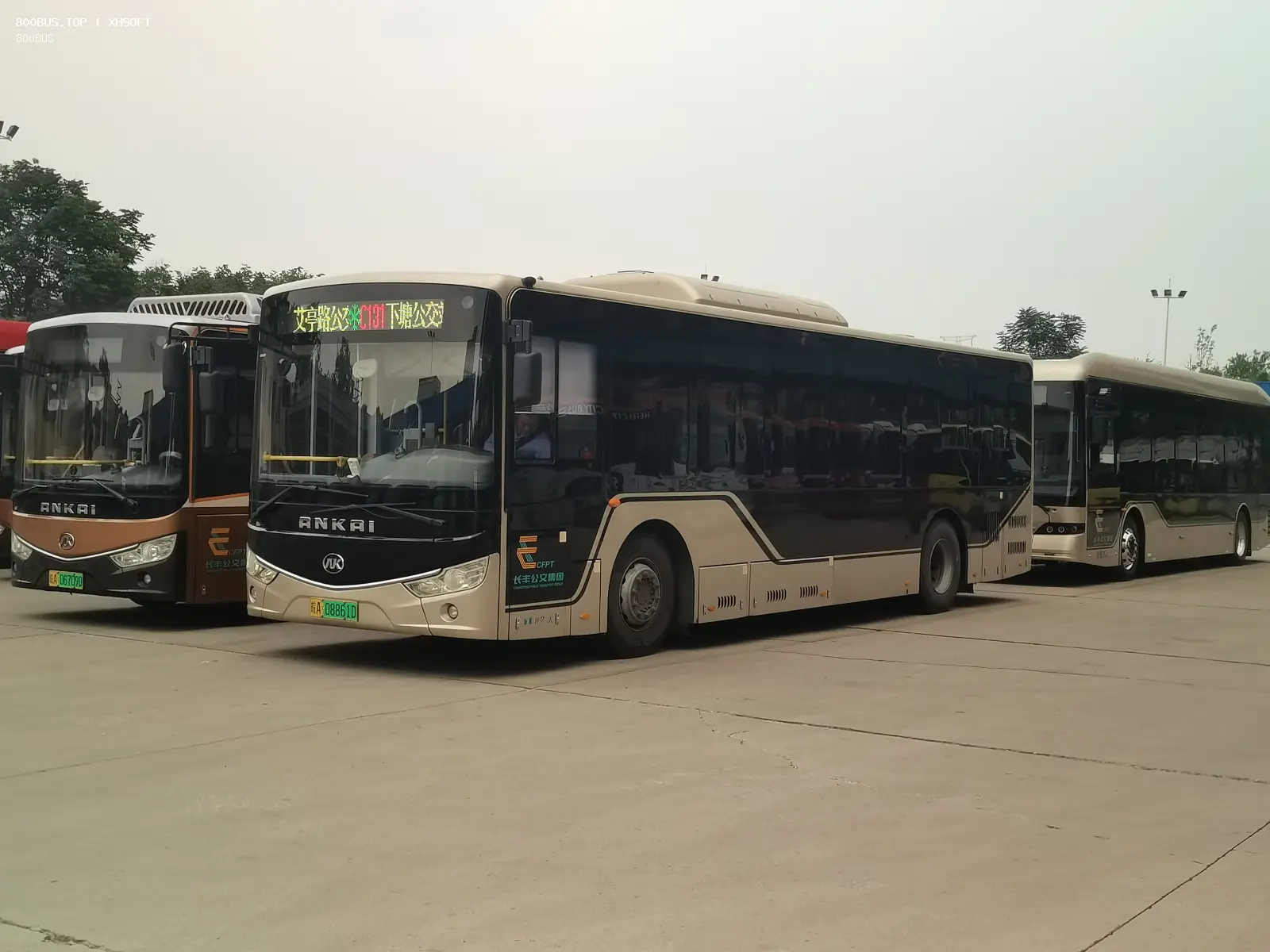 Bus Archive