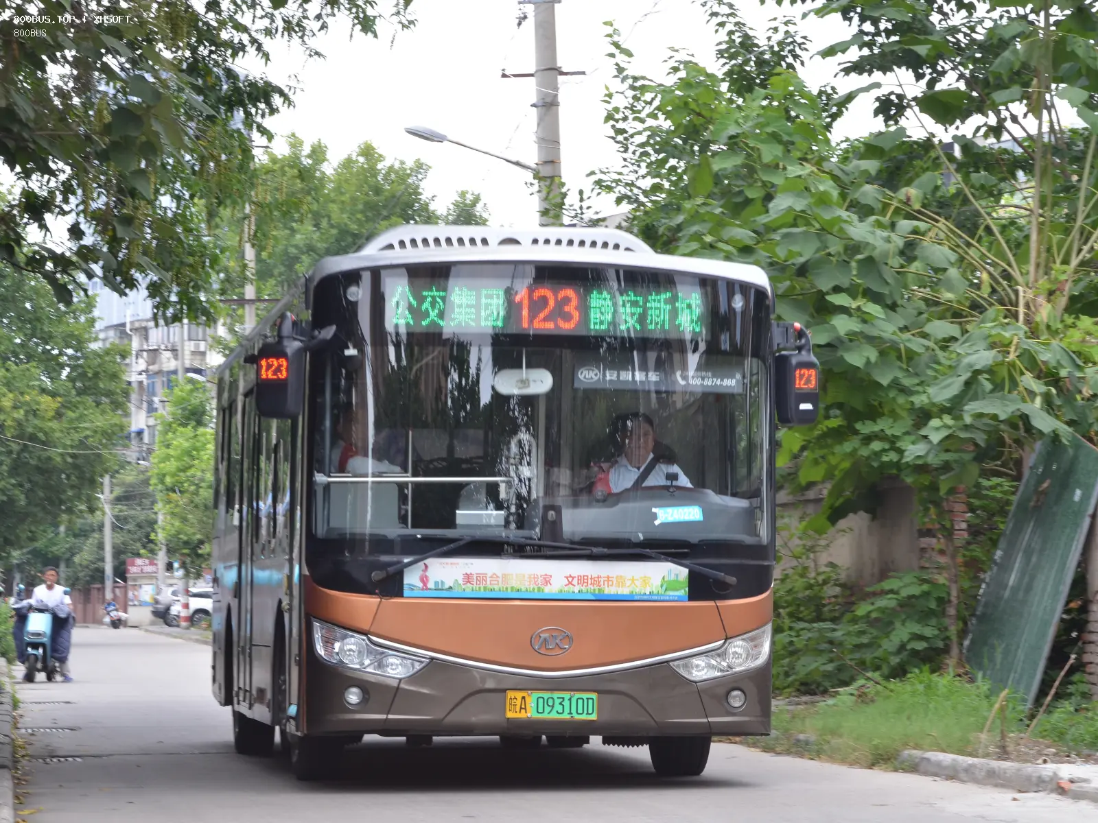 Bus Archive