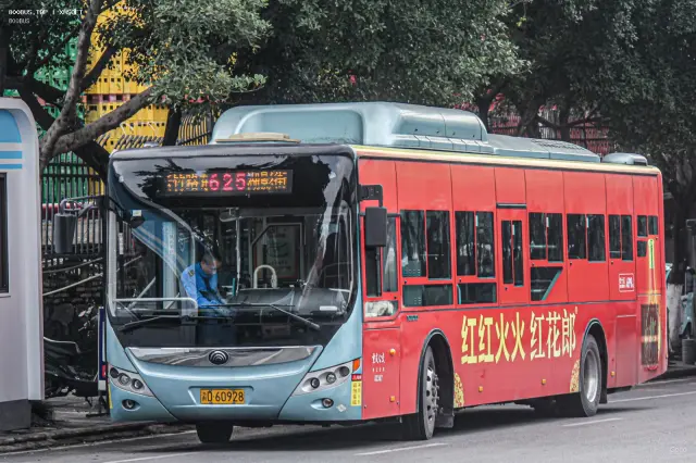 渝D 60928