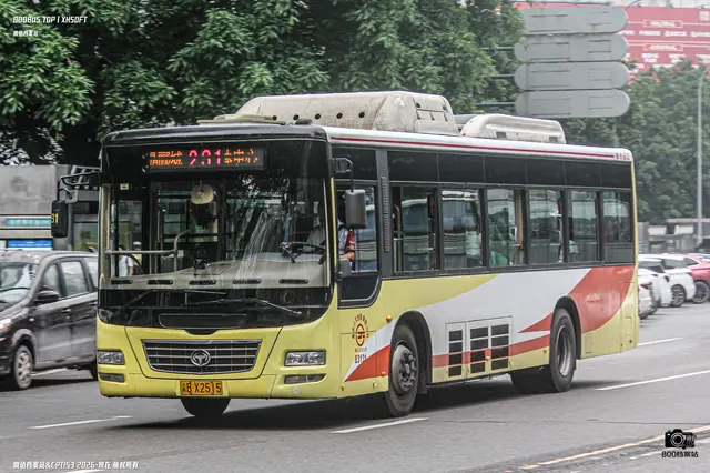 800BUS