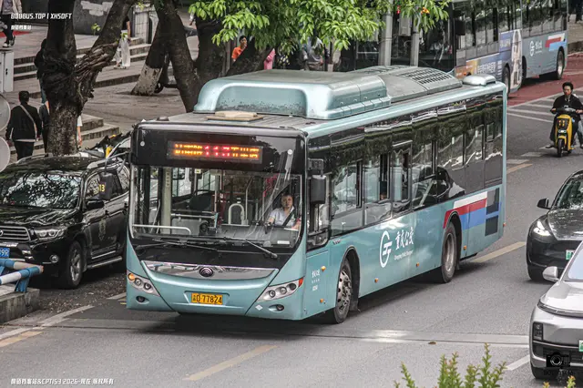 渝D 77824