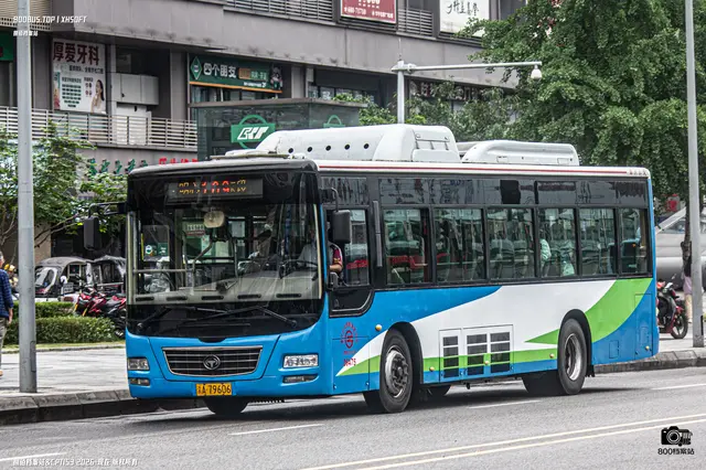 800BUS