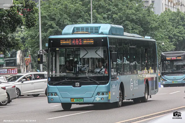 800BUS