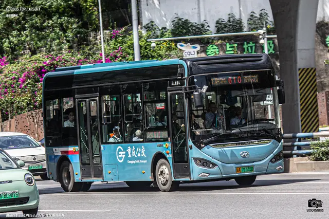 800BUS