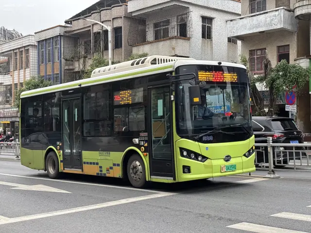 800BUS