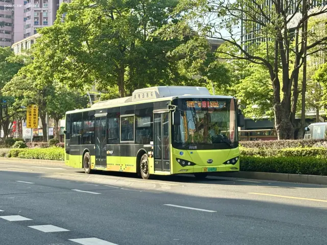 粤T09895D