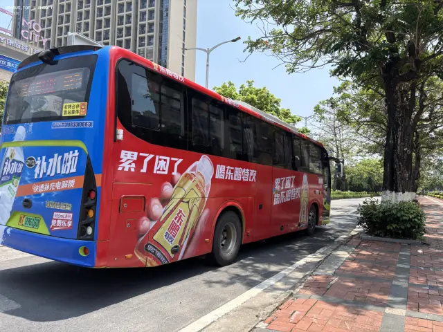 800BUS
