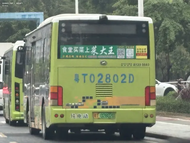 800BUS