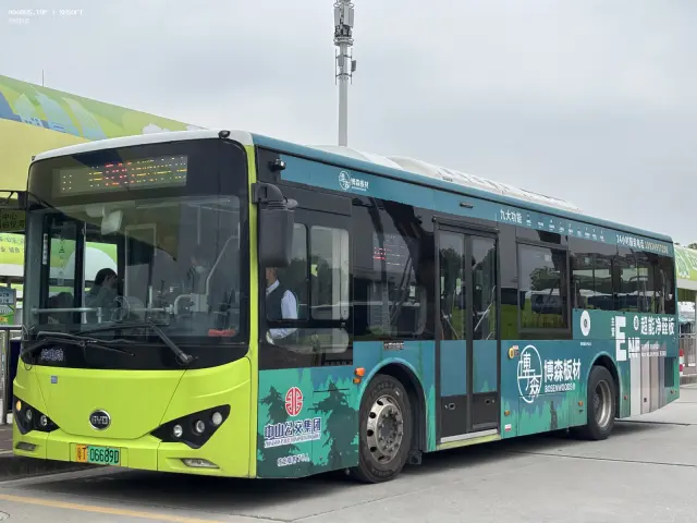 800BUS