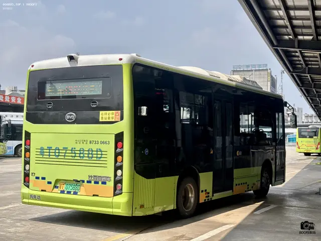800BUS