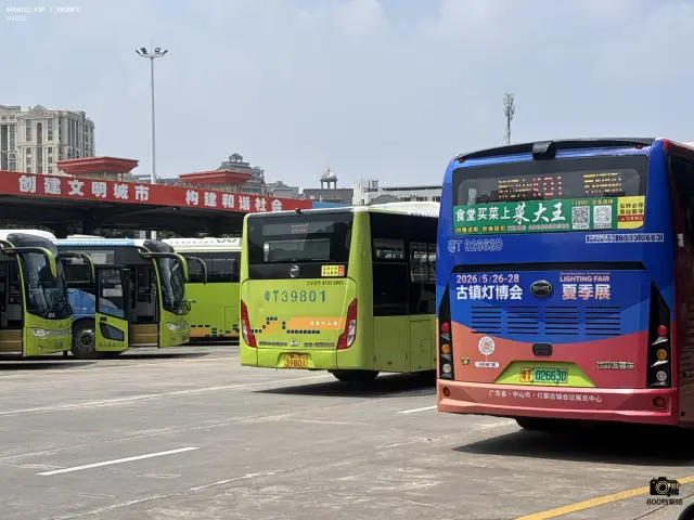 800BUS