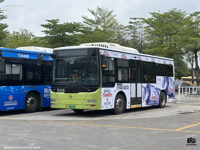 800BUS