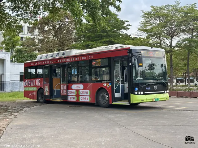 800BUS