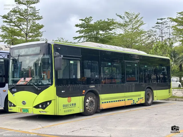 800BUS