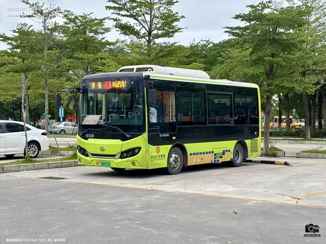 800BUS